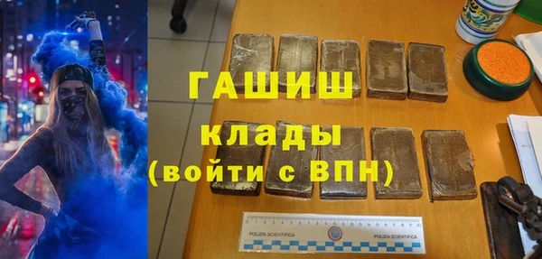 прущие грибы Новозыбков